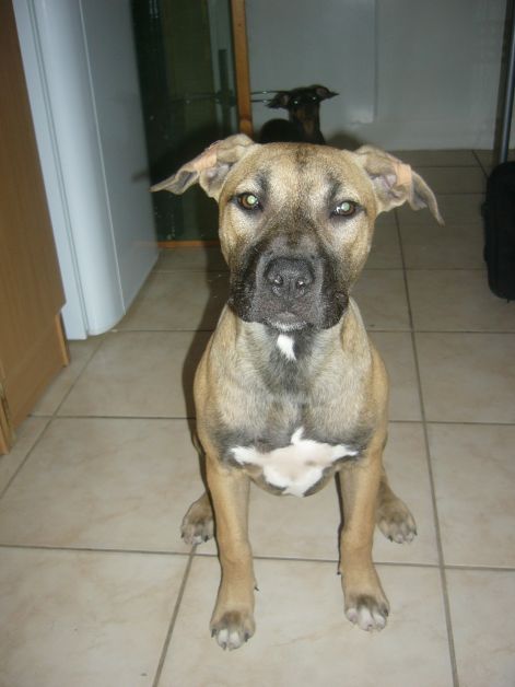 p1070216.jpg p1070216.jpg